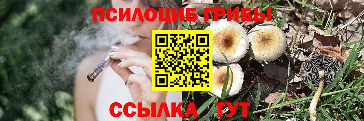 Галлюциногенные грибы Psilocybe Джанкой