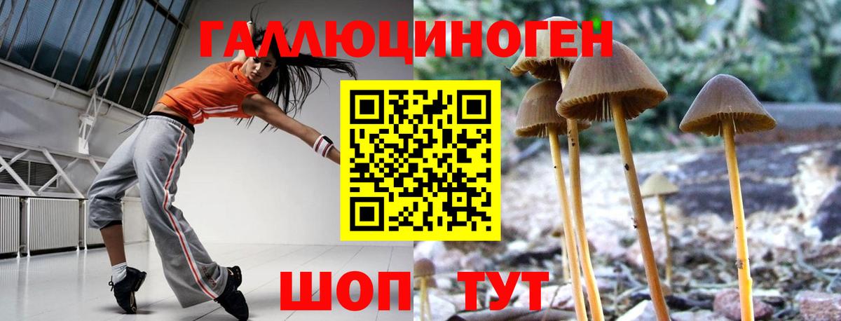 Джанкой  Псилоцибиновые грибы Psilocybe  Вход с VPN 